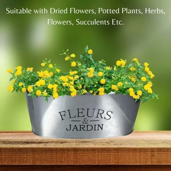 NWOT … GREENBRIAR INTERNATIONAL “Fleurs & Jardin” Galvanized Planter - Picture 1 of 5